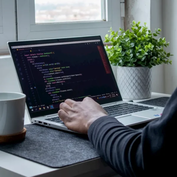 Web Developer